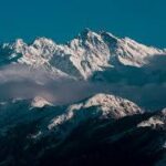 Shilajit benefits for dogs